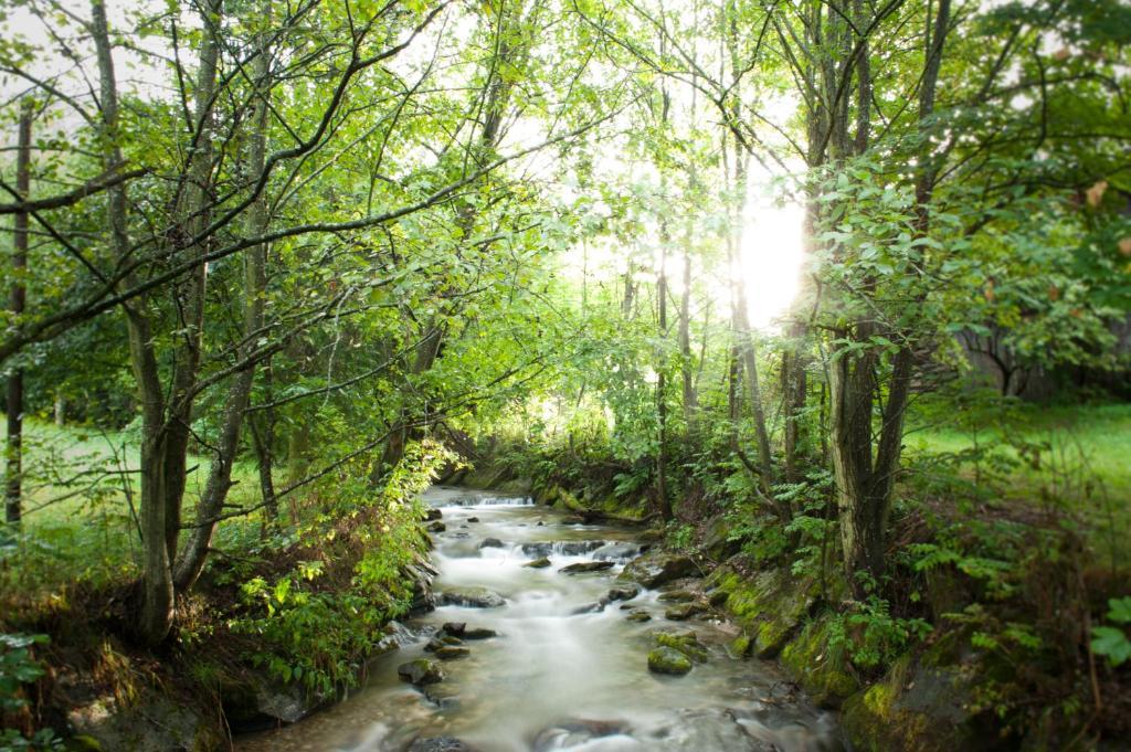 Naturhotel Ortners Eschenhof باد كلينكيرشهايم المظهر الخارجي الصورة